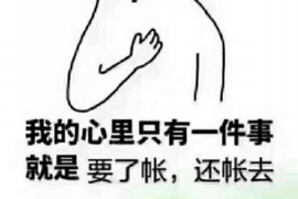 惠州融资清欠服务